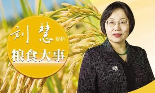 独脚斤-独脚斤-独脚鸡图片,中国独脚马骝图片网站