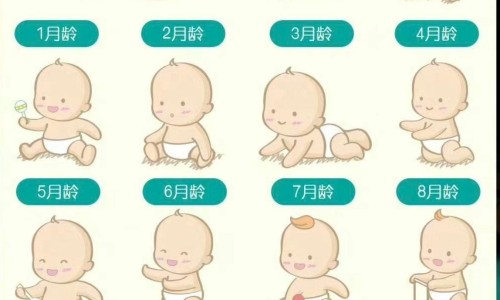 独脚斤-独脚鸡图片,中国独脚马骝图片网站