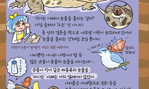 独脚斤-独脚鸡图片,中国独脚马骝图片网站